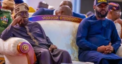Tinubu praises son Seyi, urges greater service